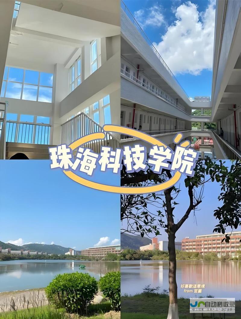珠海专业网站制作服务：从设计到上线，全方位满足您的企业网络需求